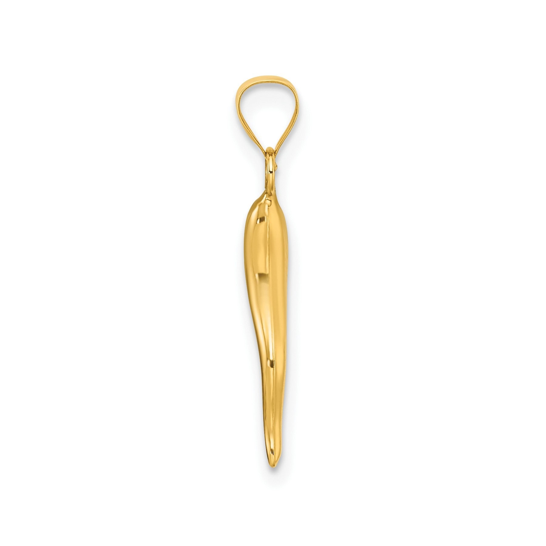 14k Hollow 3-D Italian Horn Pendant